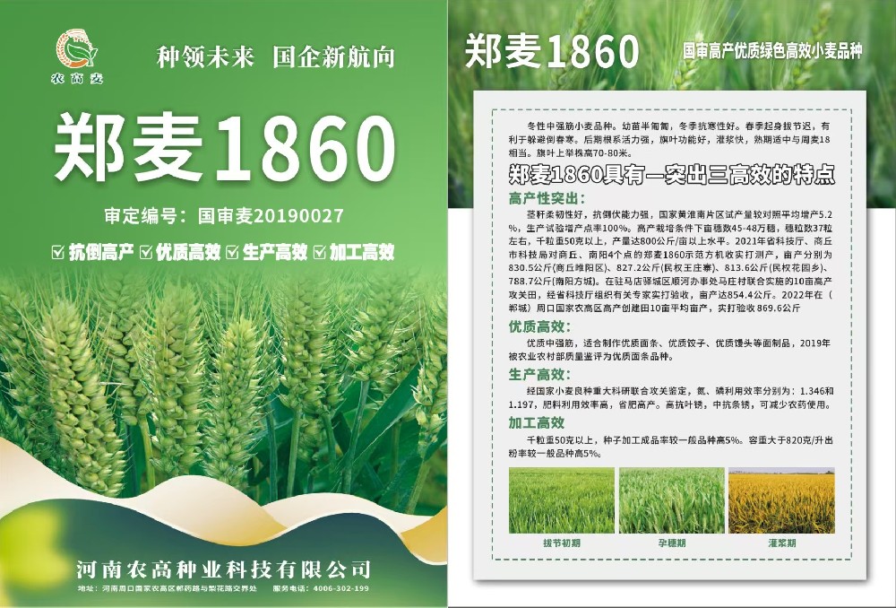 郑麦1860