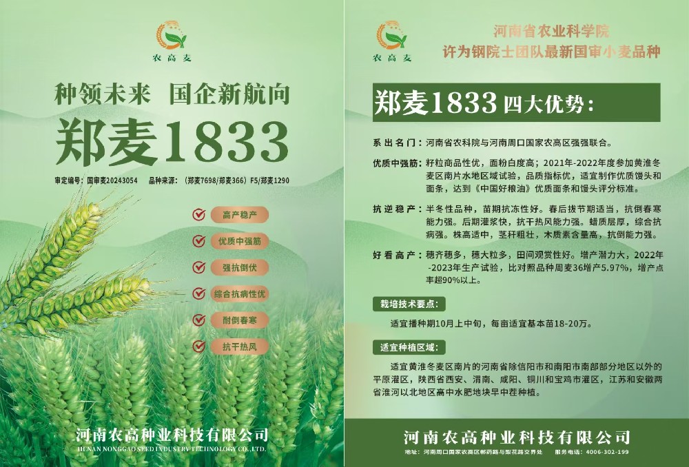 郑麦1833