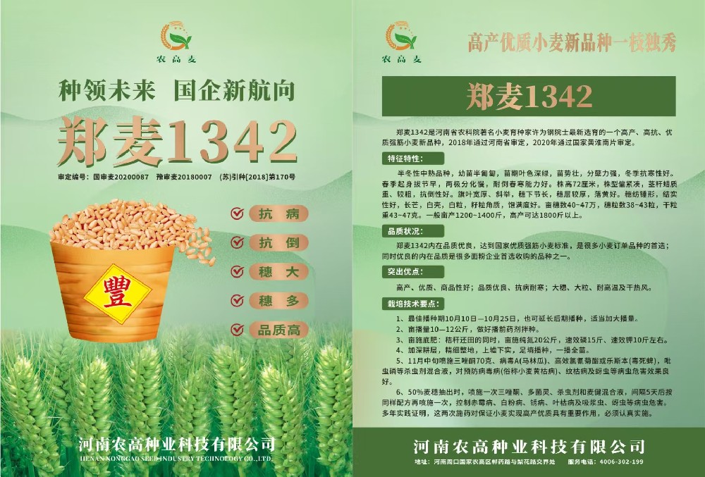 郑麦1342
